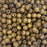 500 Brown Large Hole Macrame Wood Beads 12mm x 10mm Diameter 5.5mm Large Hole