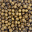 500 Brown Large Hole Macrame Wood Beads 12mm x 10mm Diameter 5.5mm Large Hole